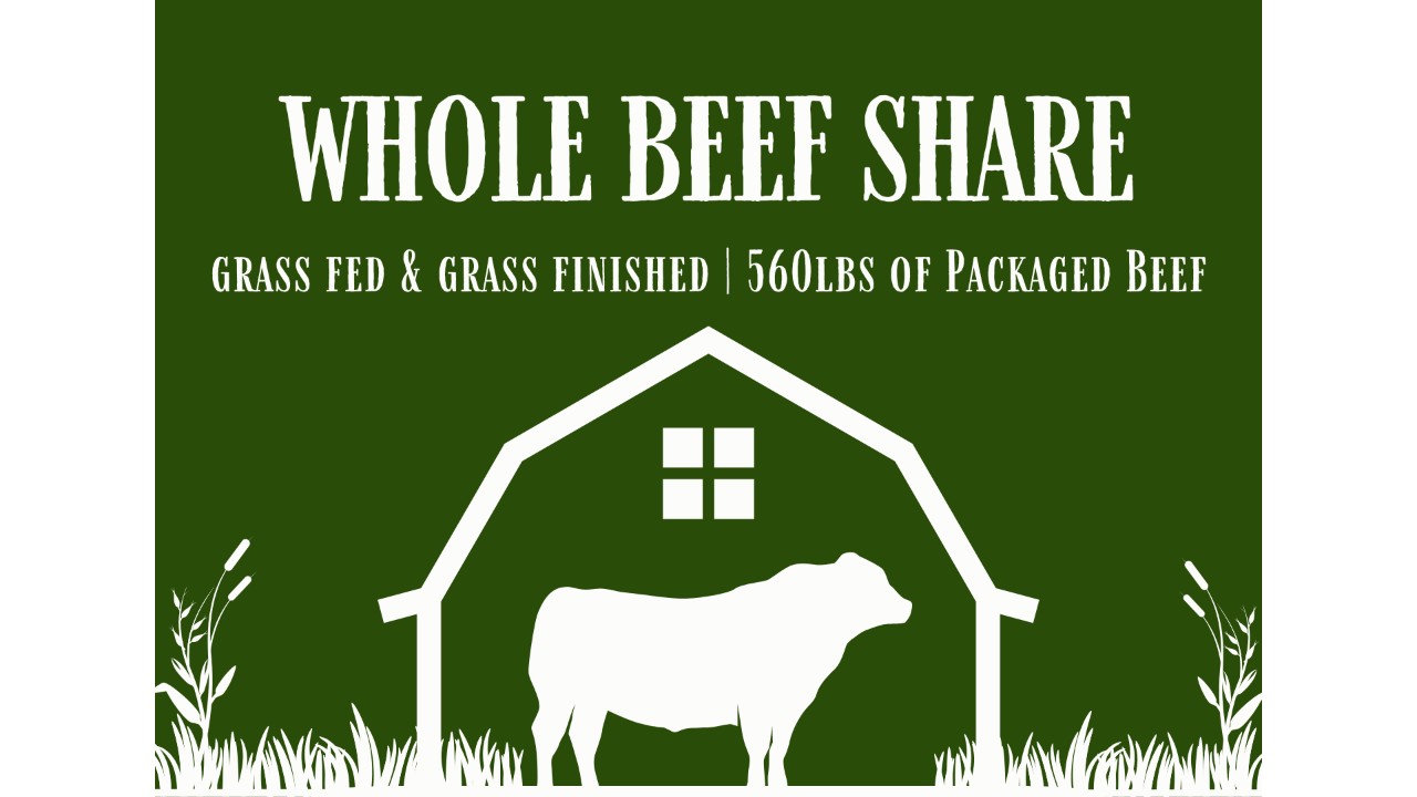 Whole Beef | Grass Finished